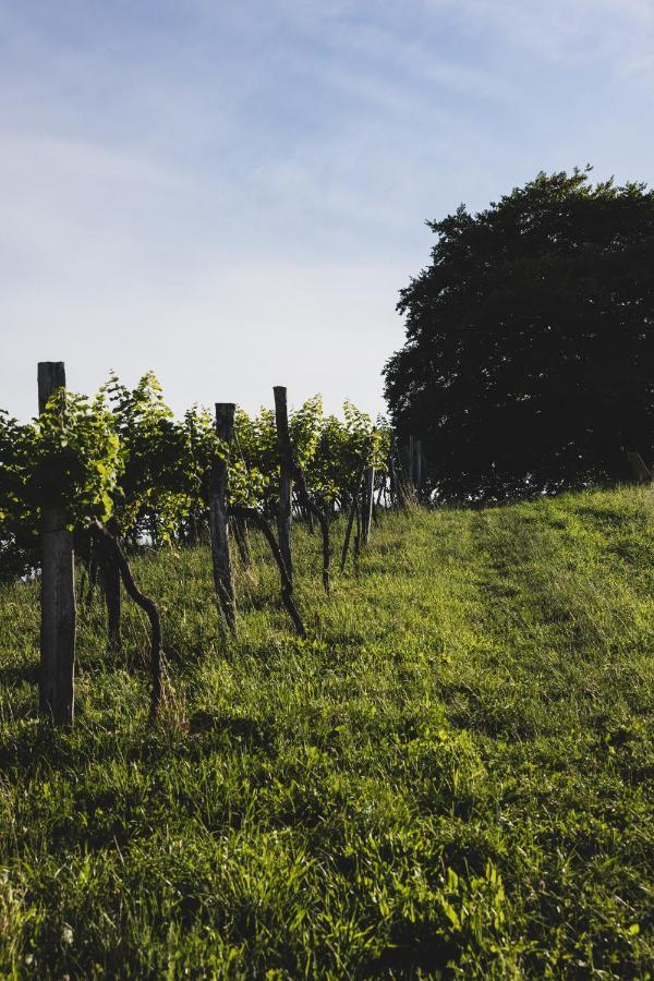 Weingut Peter Grill Bed & Breakfast Leutschach Exterior photo